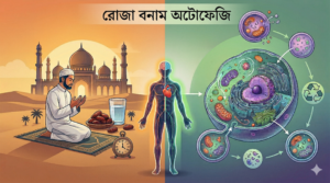 রোজা ও অটোফেজি